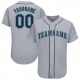 Custom Gray Navy-Aqua Baseball Jersey